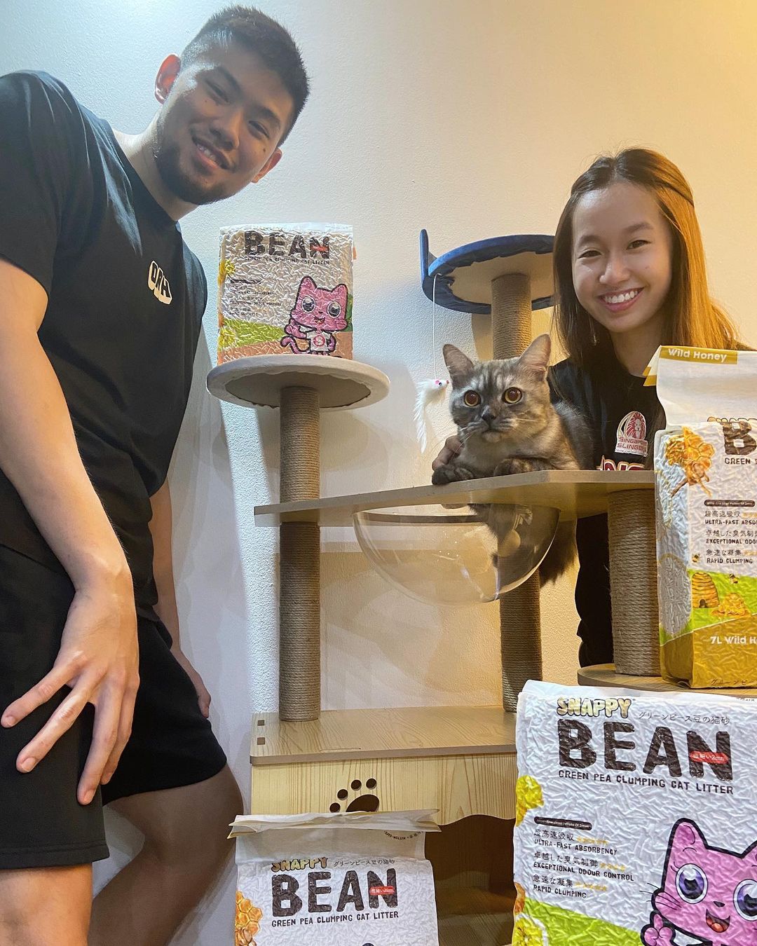 chelseannsim - snappy bean green pea cat litter review / feedback / testimonial